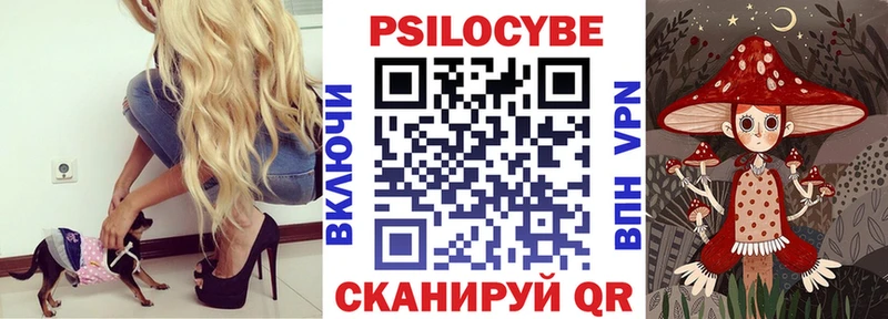 где продают наркотики  Оленегорск  Псилоцибиновые грибы GOLDEN TEACHER 